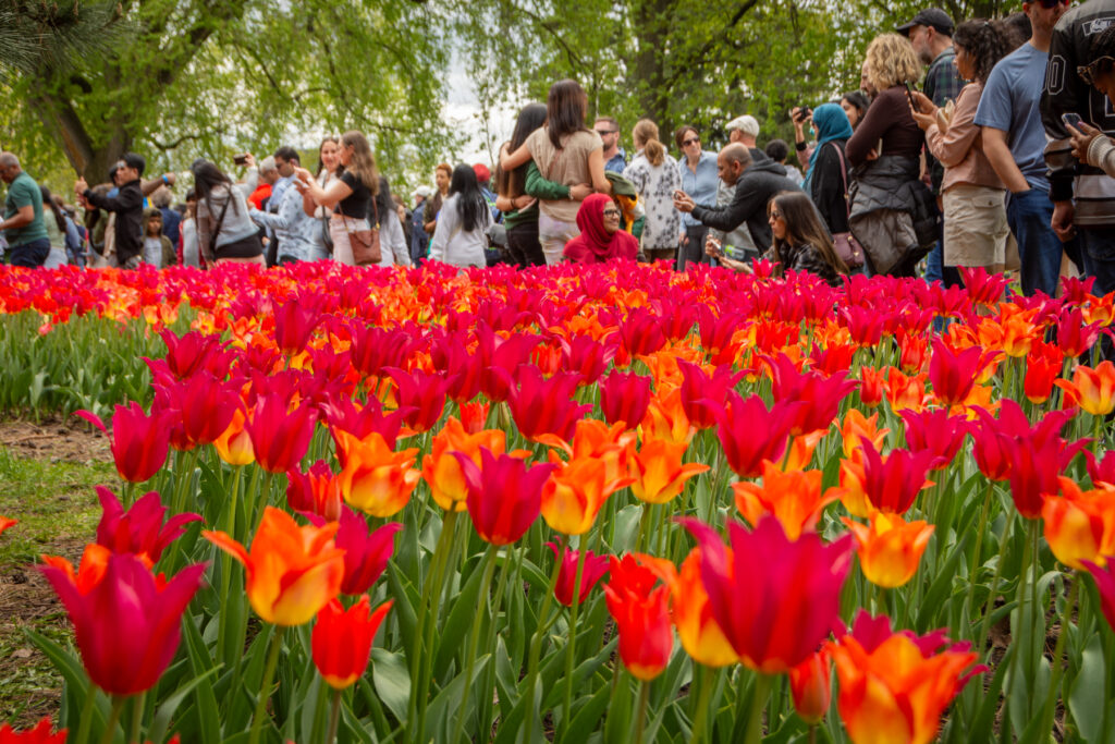 Ottawa in Spring: The Must-See Attractions and Events You Can't